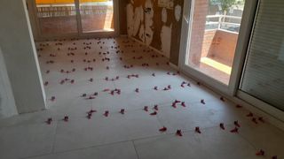 Reformas de Construcción en Barcelona