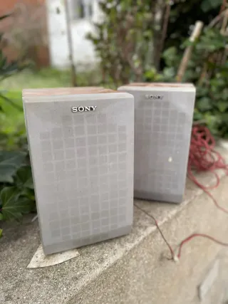 Altavoces Sony Marrones y Grises