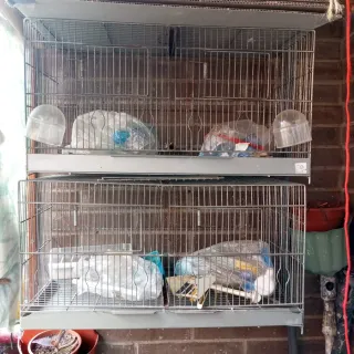 Jaulas grandes para aves