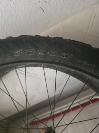 Llantas Fat bike