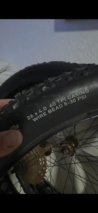 Llantas Fat bike
