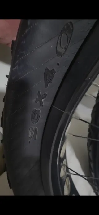 Llantas Fat bike