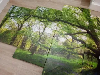 Cuadro Decorativo Bosque Verde