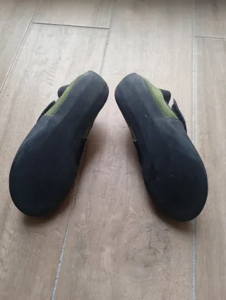 Pie de gato Simond Rock