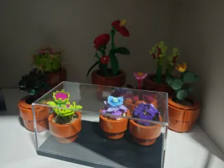 Lego Piante Miniature 10329