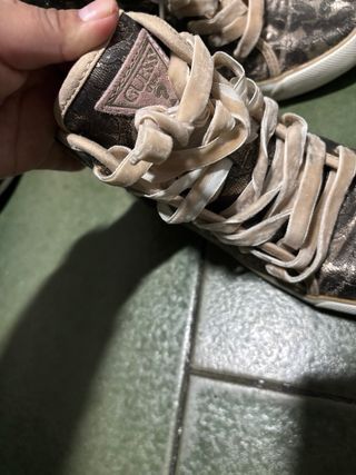 Zapatillas Calvin Klein Jeans y guess