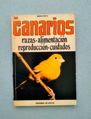 Libros para aprender: Guitarra,Tapices, Pintar etc