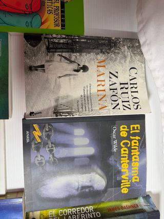 Crónica de una muerte anunciada