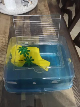 Tortuguero o terrario para mascotas