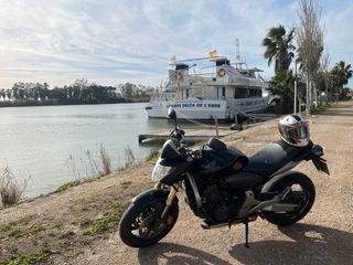 Honda CB600 Hornet Negra