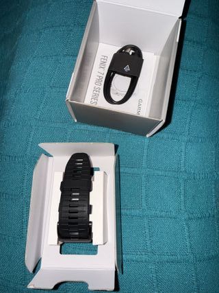 Garmin Fenix 7X Pro Plata