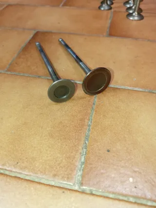 Valvole Saxo VTS/106 1.6 16v