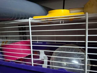 Jaula Hámster Ruso/Ratones