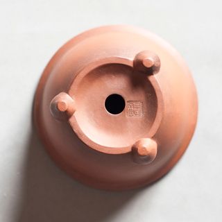 Maceta Bonsái China - Takayama Boko - 11.5cm