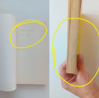 Le nonne di Doris Lessing