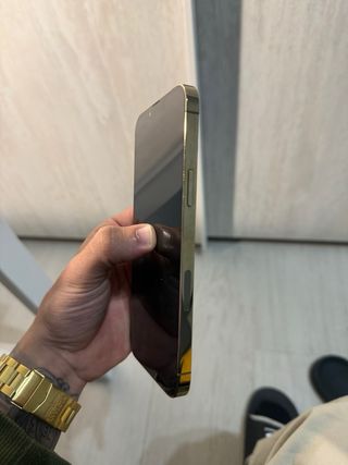 iPhone 13 Pro Max Oro