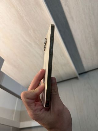 iPhone 13 Pro Max Oro