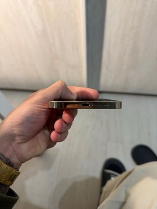 iPhone 13 Pro Max Oro