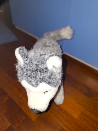 Peluche cane husky