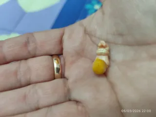 Miniatura Bebé Flotante Colonia Chupetín