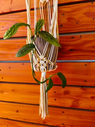Macetero colgante de algodón y madera
