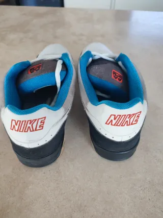 Nike Zoom Oncore Skate Zapatillas