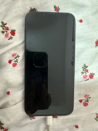 iPhone 13 Pro Max con 128GB