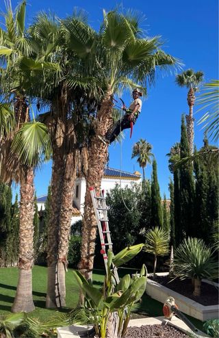 Servicios de Jardinería y Piscinas