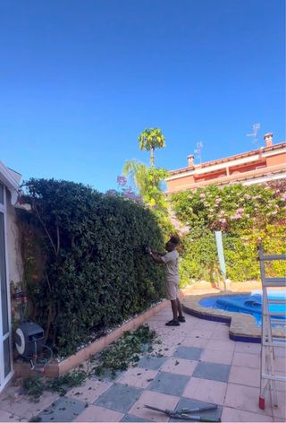 Servicios de Jardinería y Piscinas