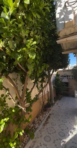 Servicios de Jardinería y Piscinas