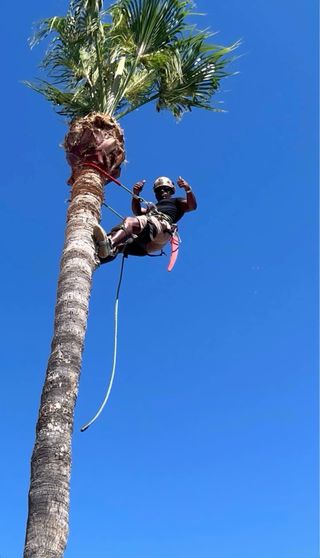 Servicios de Jardinería y Piscinas