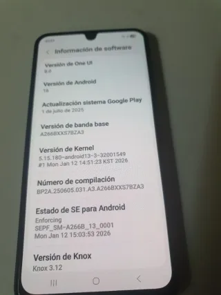 Samsung Galaxy A26 5G Negro