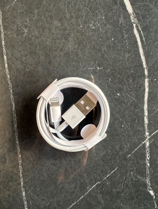 Cavo di Ricarica iPhone Originale Apple Lightning