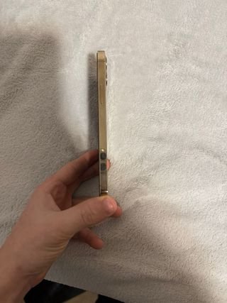 iPhone 12 Pro Oro - Batteria 75%