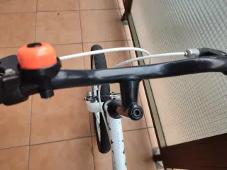 Bicicleta infantil 20 pulgadas