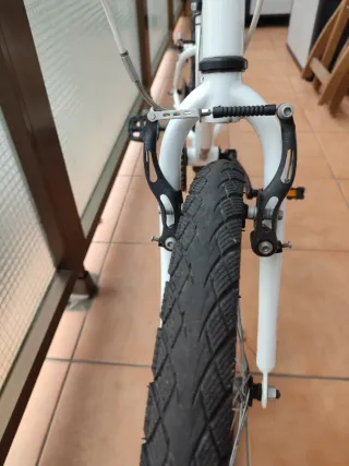 Bicicleta infantil 20 pulgadas