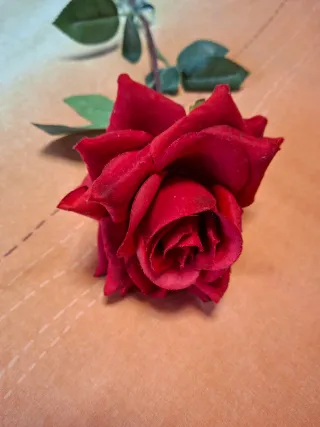 Jarrón de cristal con rosa roja