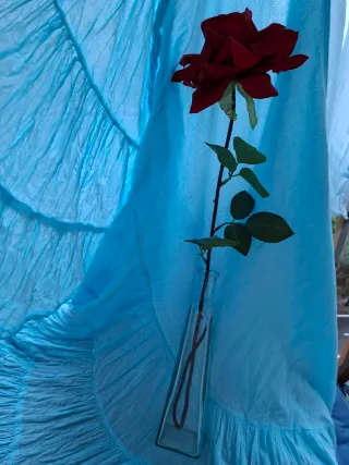 Jarrón de cristal con rosa roja