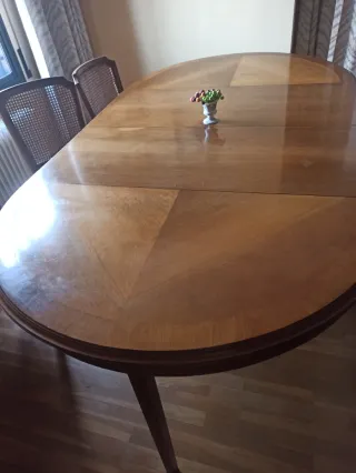 Mesa de comedor ovalada y 6 sillas.