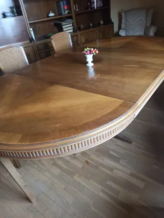 Mesa de comedor ovalada y 6 sillas.