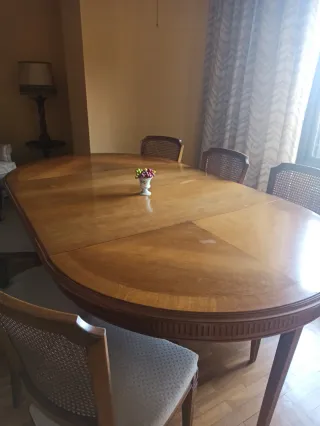 Mesa de comedor ovalada y 6 sillas.