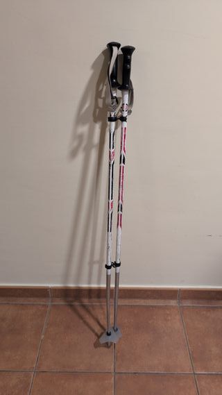 Esquís Fischer Scened S100 160cm