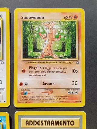 Carte dei Pokémon - Neo Genesis