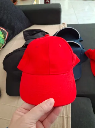 Lote  gorras sin marca