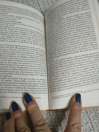 La ciudad de la alegría. Traducción de Carlos P...