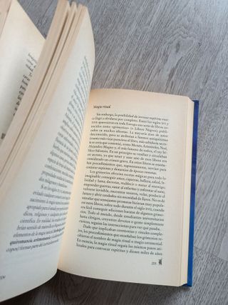 El Diccionario del Mago