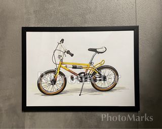 Ilustración BH California Star 2