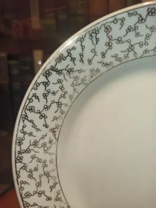 Plato antiguo China Opaca Santander