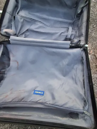 Valigia Trolley Samsoline Argento