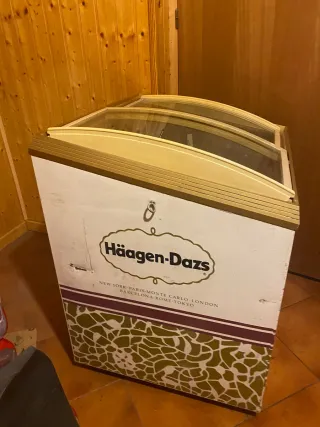 Congelador Haagen-Dazs
